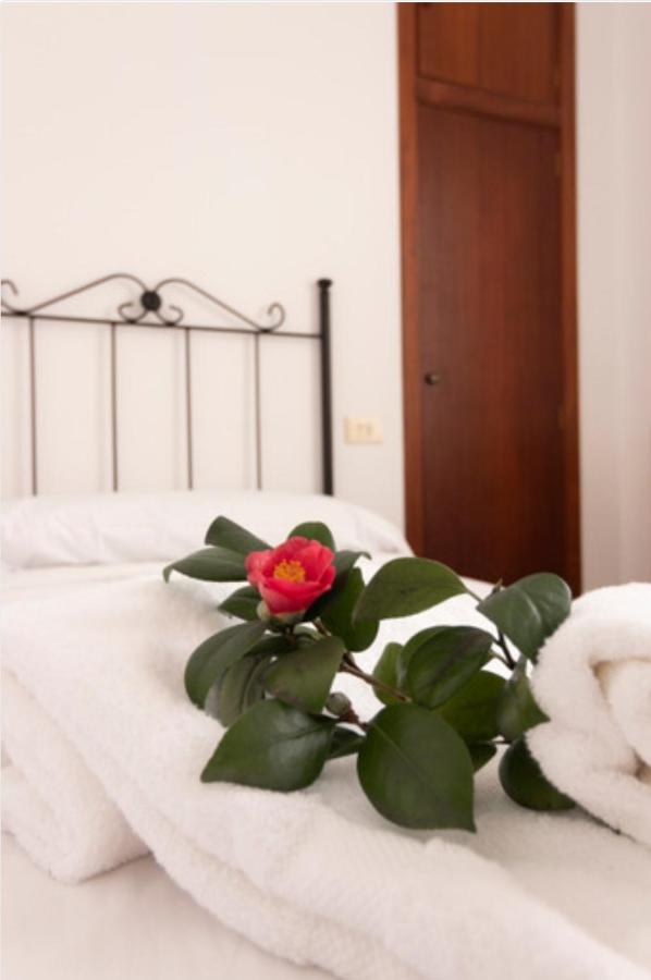 Hostal San Cristobal - Pontedeume מראה חיצוני תמונה