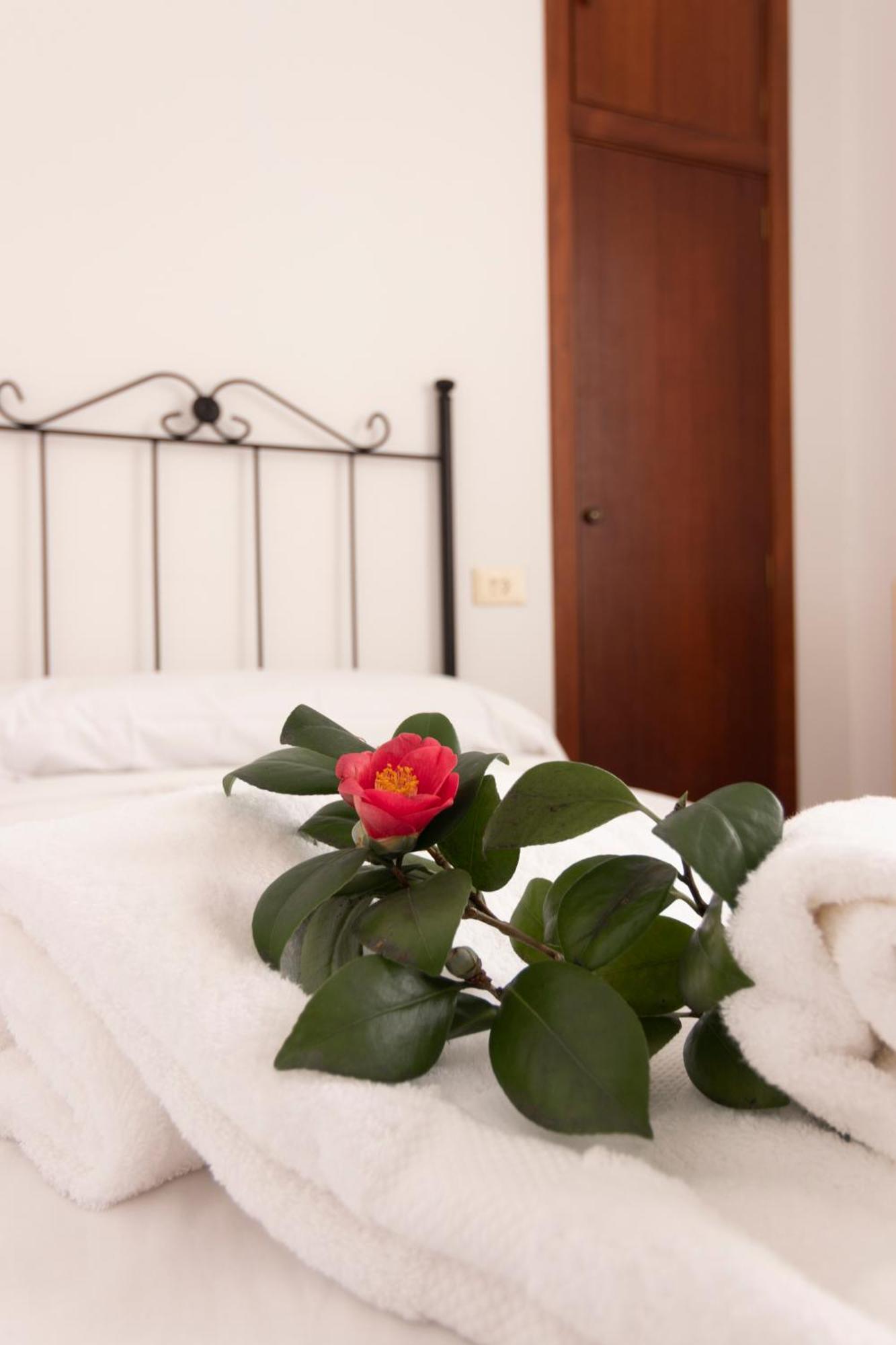Hostal San Cristobal - Pontedeume מראה חיצוני תמונה